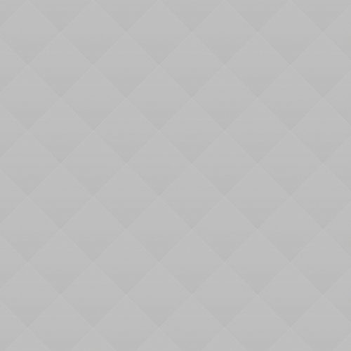 Pizza With Chicken, Tomatoes and Basil